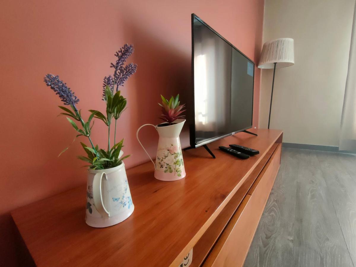 Alto Minho Central Apartment パレーデス・デ・コウラ エクステリア 写真