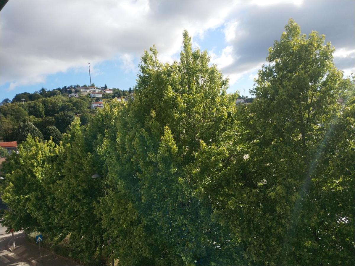 Alto Minho Central Apartment パレーデス・デ・コウラ エクステリア 写真